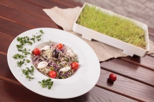 Foods That Promote Detoxification